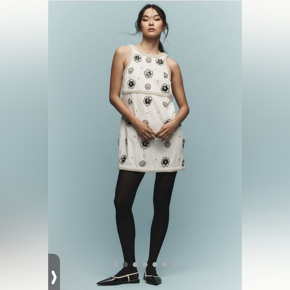 Anthropologie NWT Maeve 3D Embellished Shift Mini Dress size 3X. - Picture 2 of 12